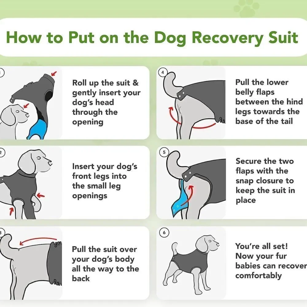 Suitical Dog Surgery Recovery Suit with Clip-Up System - Small